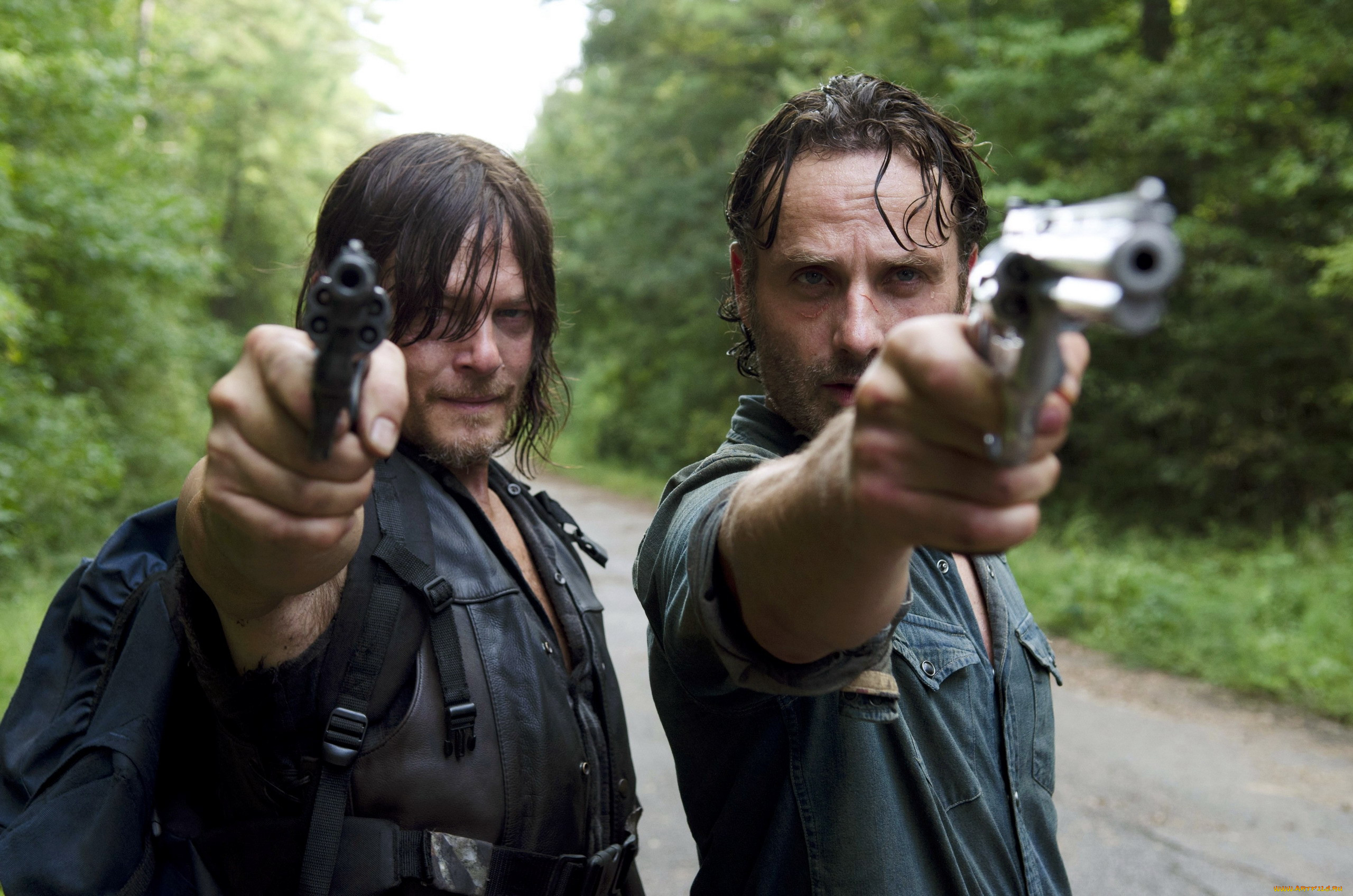  , the walking dead, norman, reedus, daryl, dixon